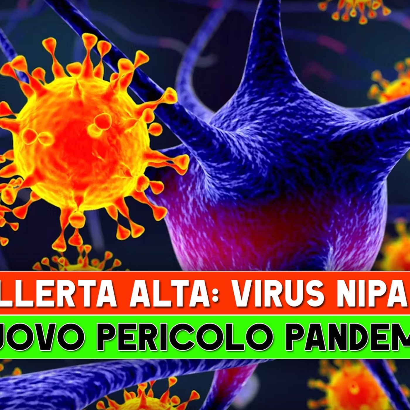 Allerta Alta, Virus Nipah: Nuovo Pericolo Pandemico! episode artwork