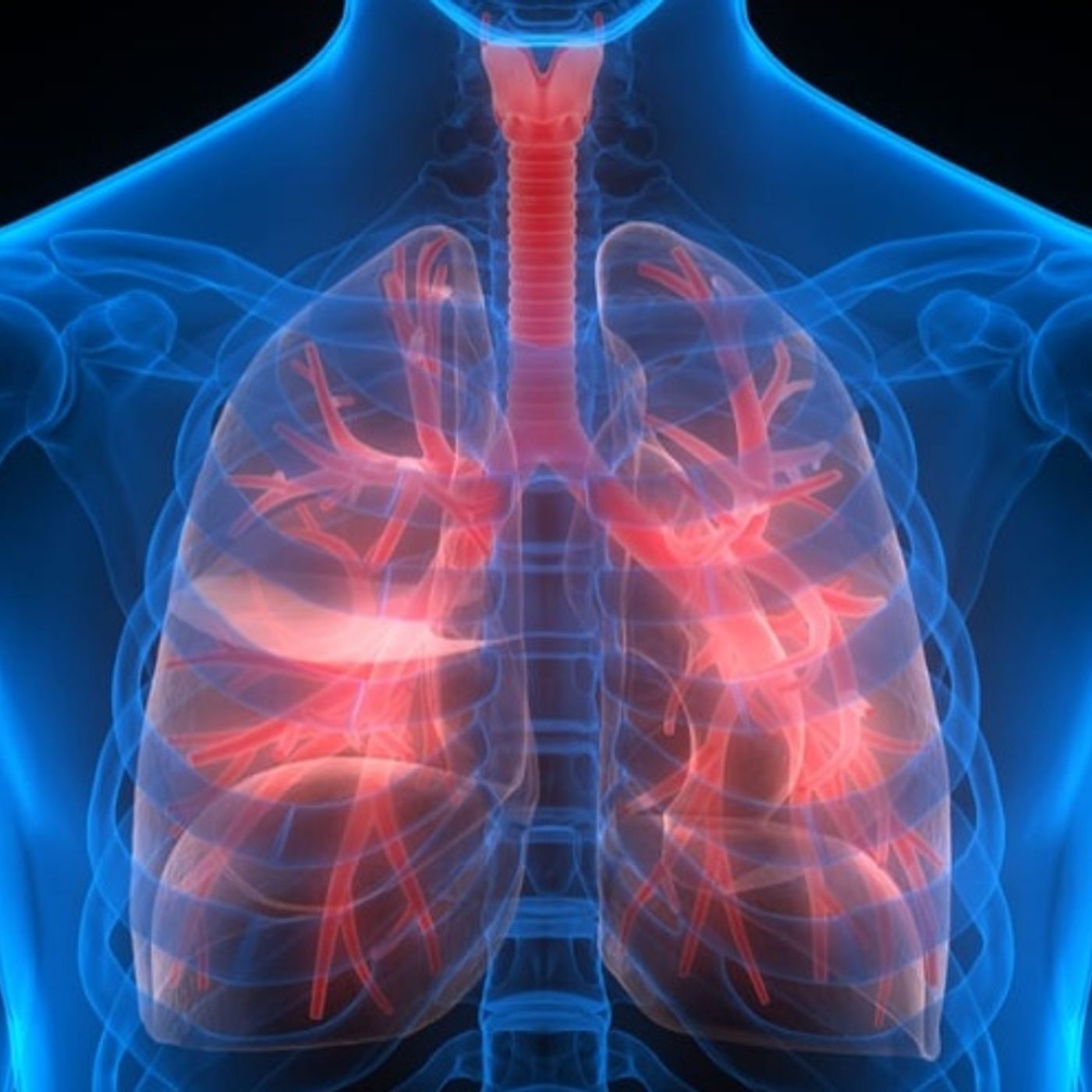 The No. 3 Killer  - Lung Diseases episode artwork