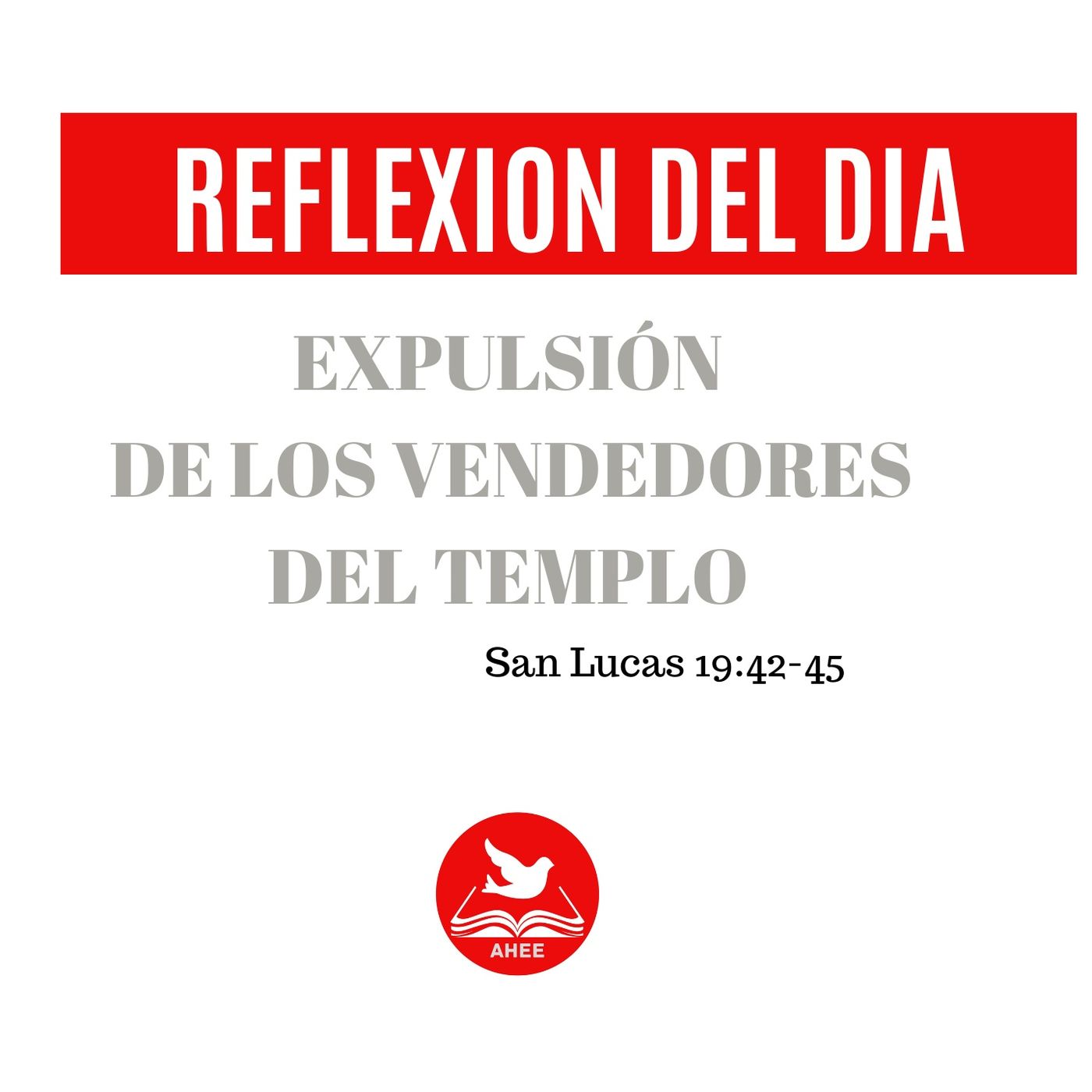 Reflexiones  del día