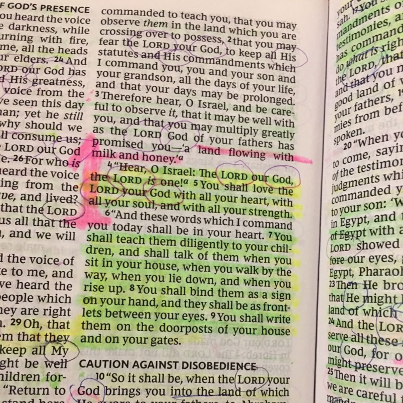 The Greatest Comandment