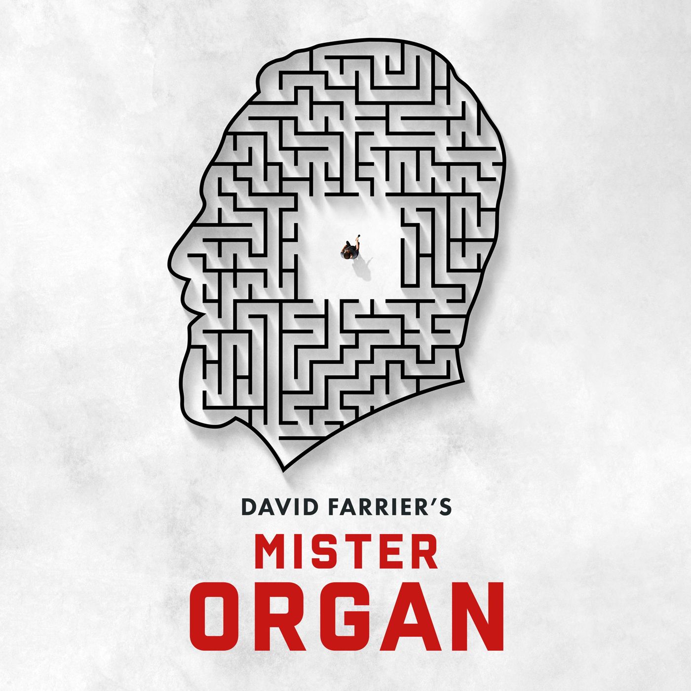 Special Report: David Farrier on Mister Organ (2022)