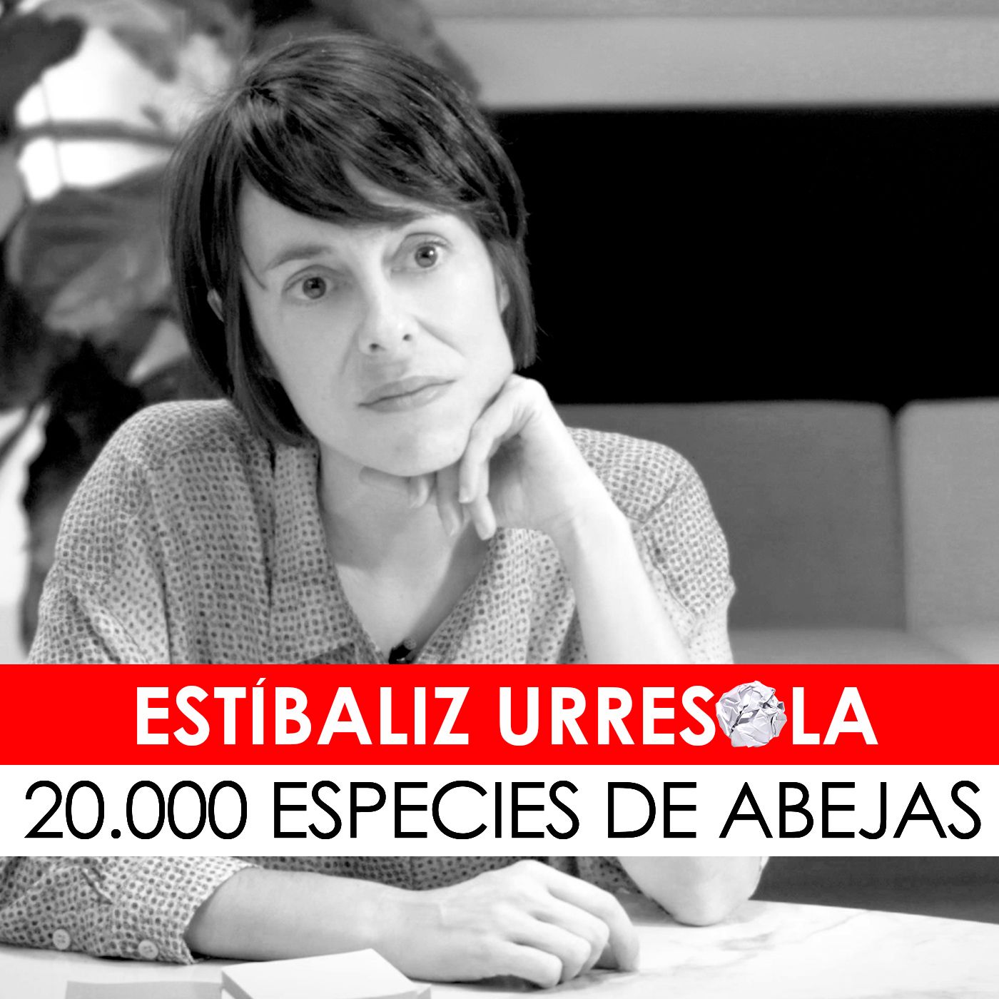 Exigencias del guión