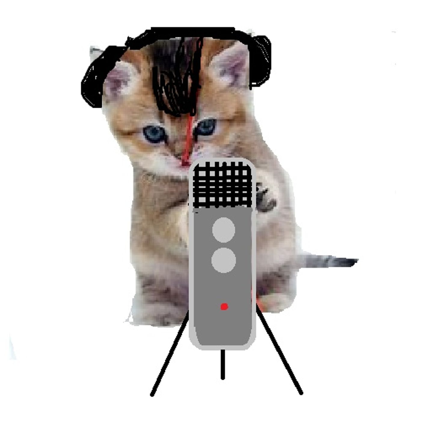 The Kitty Cat Podcast