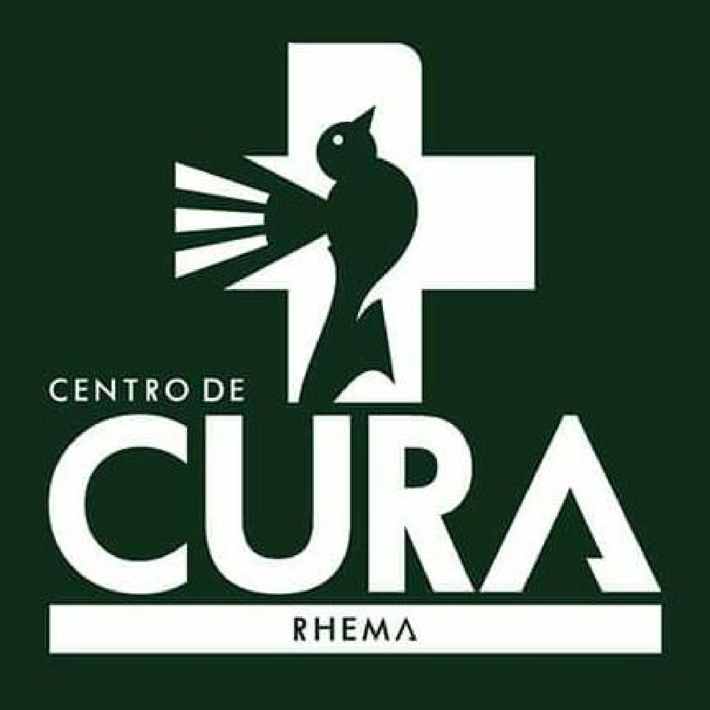 Centro De Cura Verbo Da Vida Recife-CG