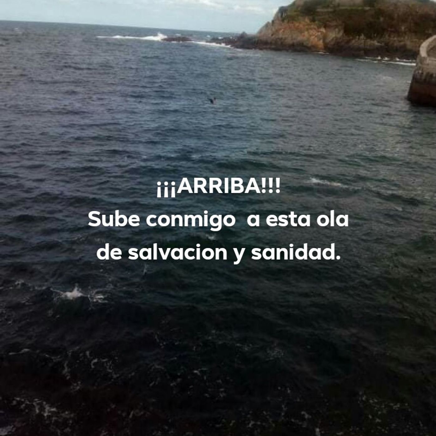Alma Mía