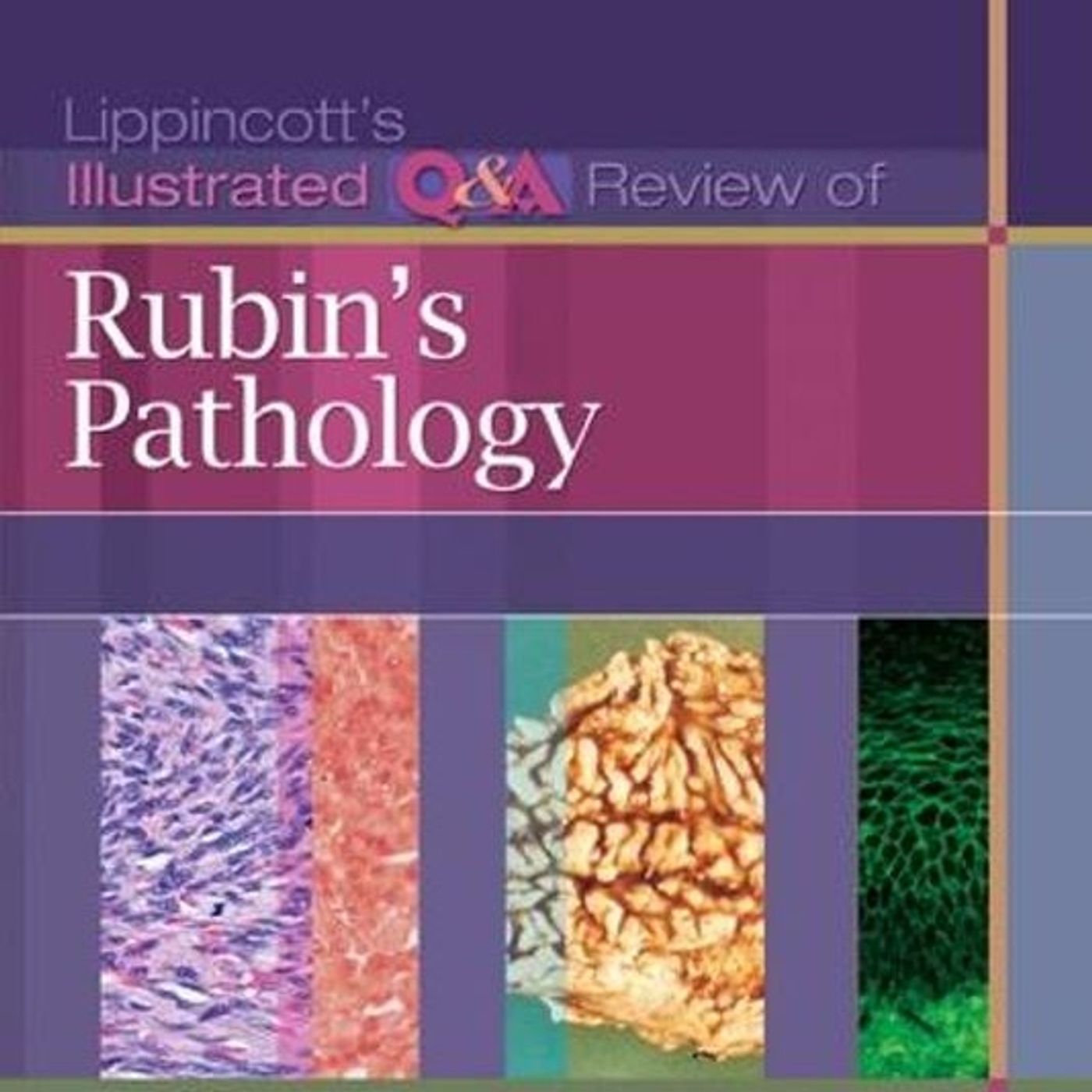 Lippincott’s Illustrated Review of Rubin's Pathology