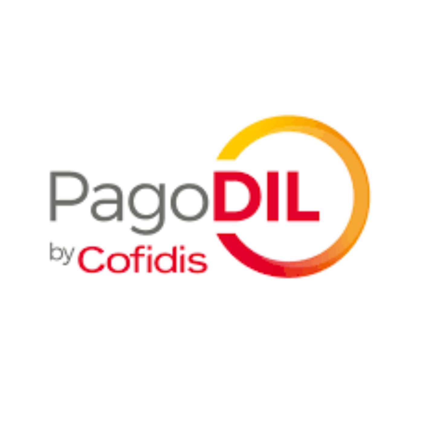 Fai crescere il tuo business con PagoDIL