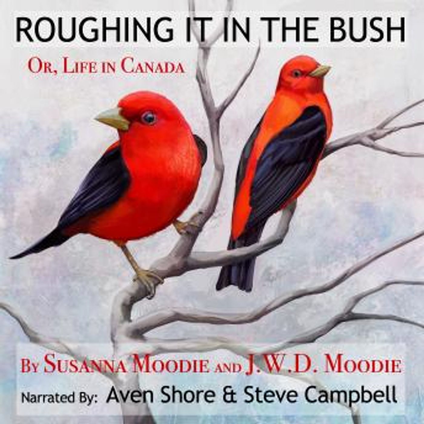 Discover Top Full Trial Audiobooks in Biography & Memoir, History & Culture