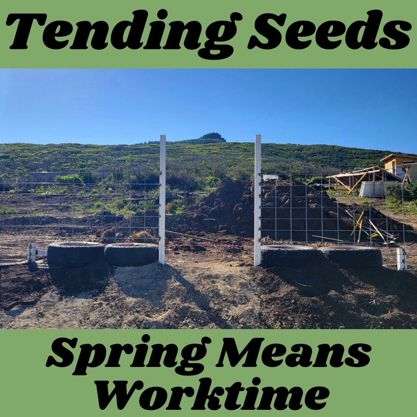 Tending Seeds: Adventures in Gardening