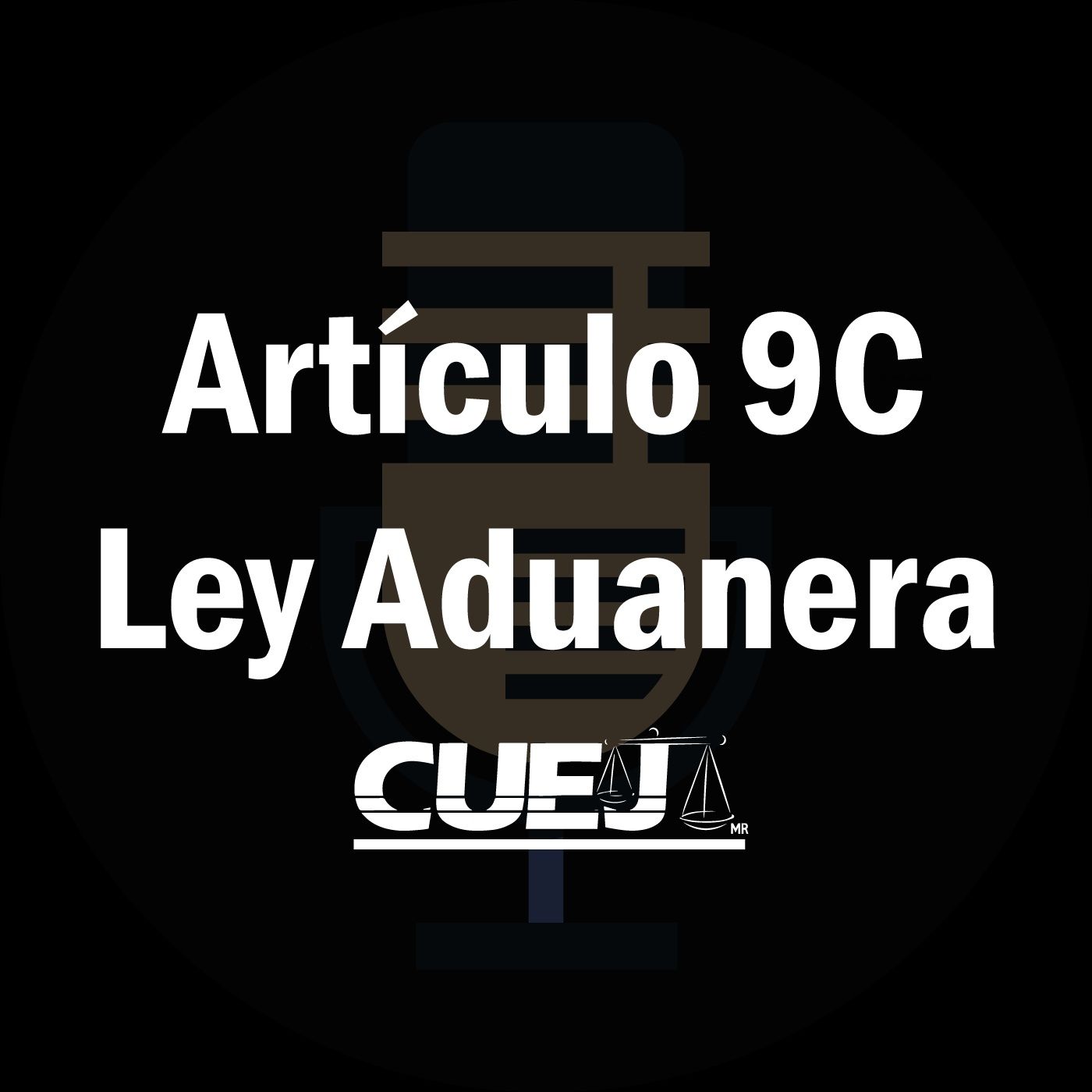 Audio Ley Aduanera