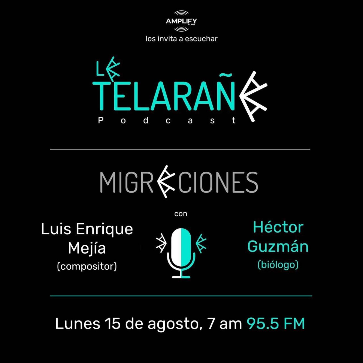 Portada de La Telaraña