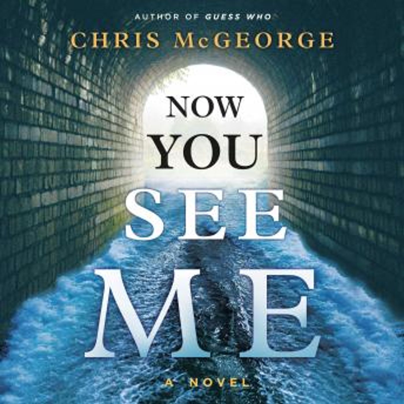 Full Audiobooks in Mystery, Thriller & Horror, Police & Detective