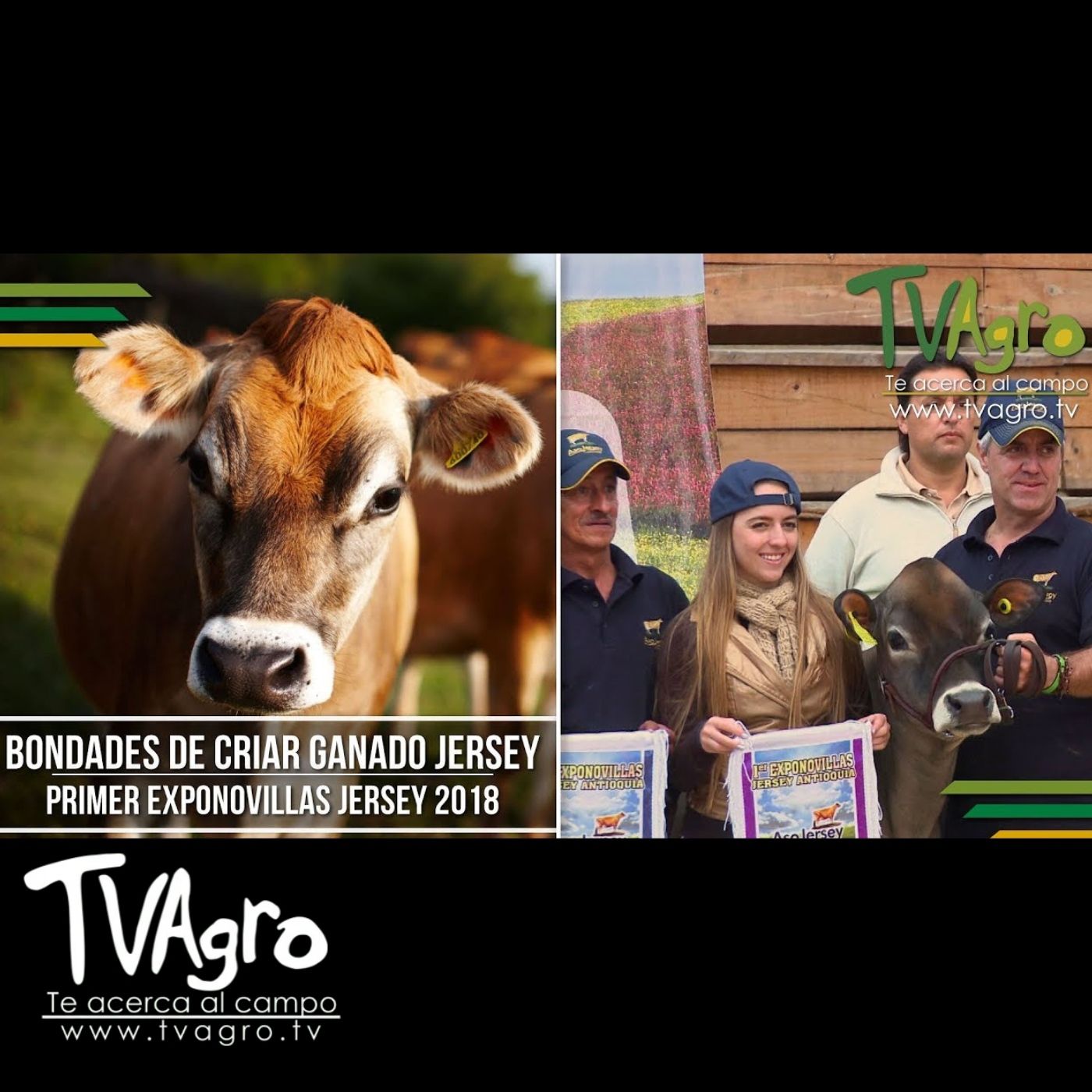 TV AGRO
