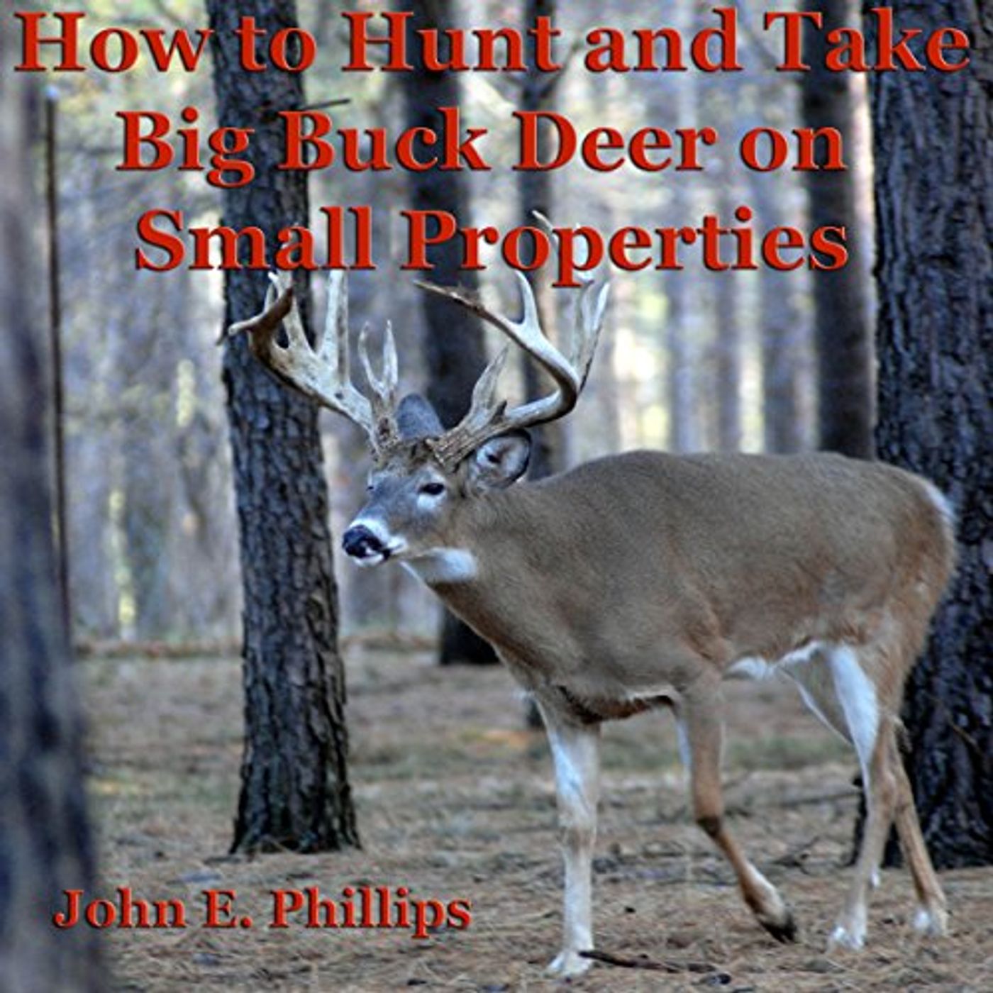 Listen Legally to Best Full Audiobooks in Self Development, How-To