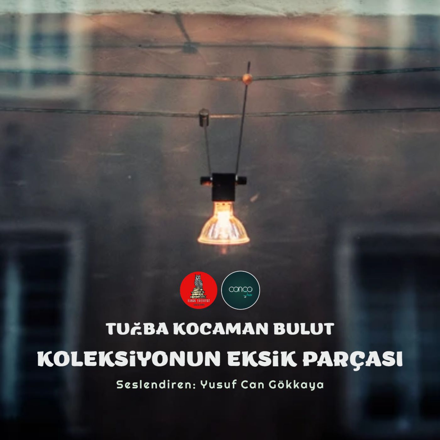 Öykü | Tuğba Kocaman Bulut - Koleksiyonun Eksik Parçası