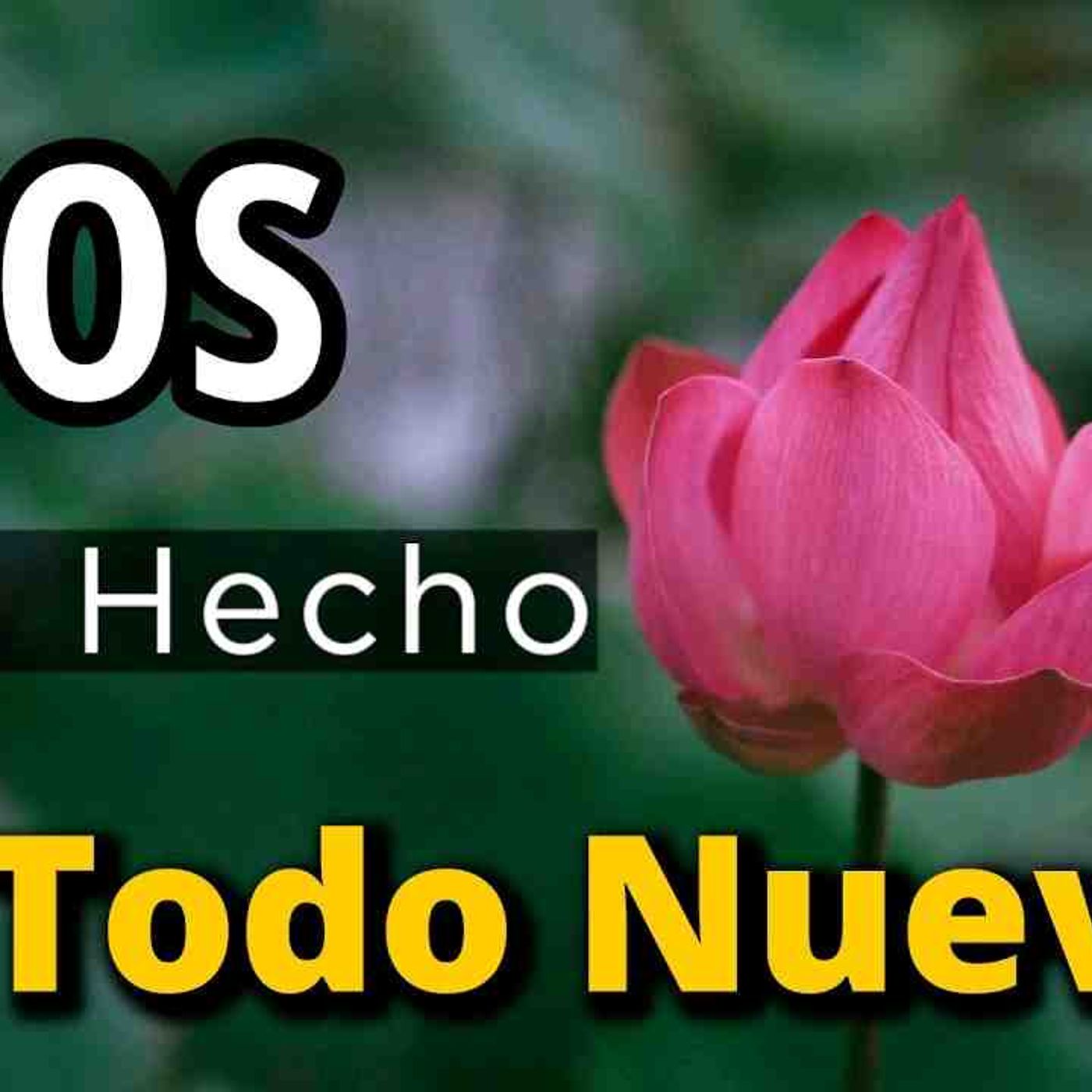 Jesús puede cambiar tu vida _ Dios ha hecho todo nuevo _ Devocional(MP3_160K) episode artwork