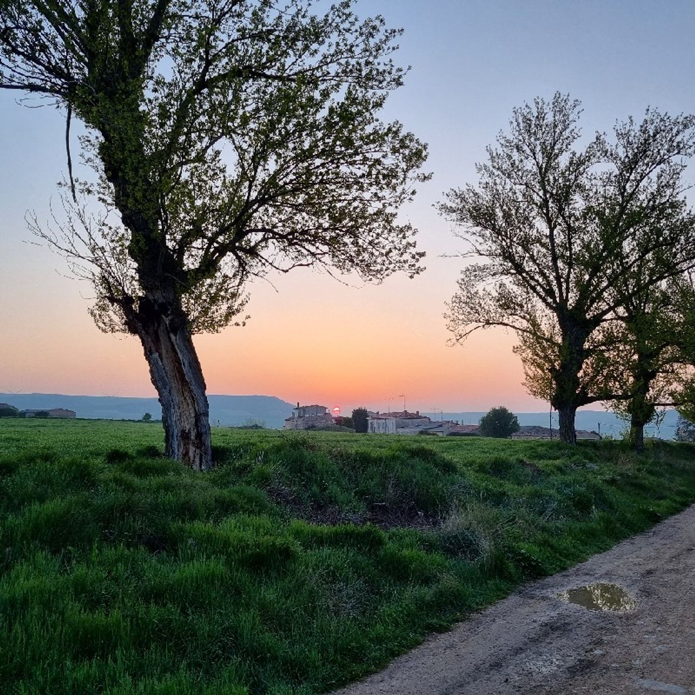 Paul Adams\'s Camino Live podcast