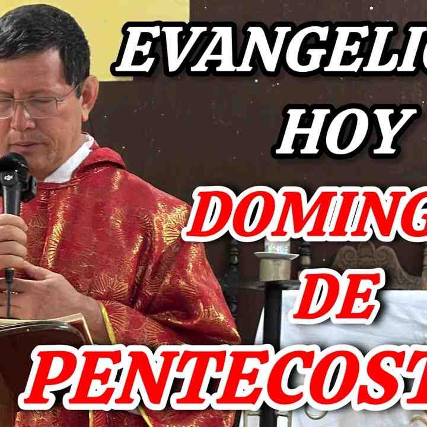 73-26_ FIESTA de PENTECOSTÉS_ La Venida del ESPÍRITU SANTO__️ Padre Luis Toro 2026 episode artwork