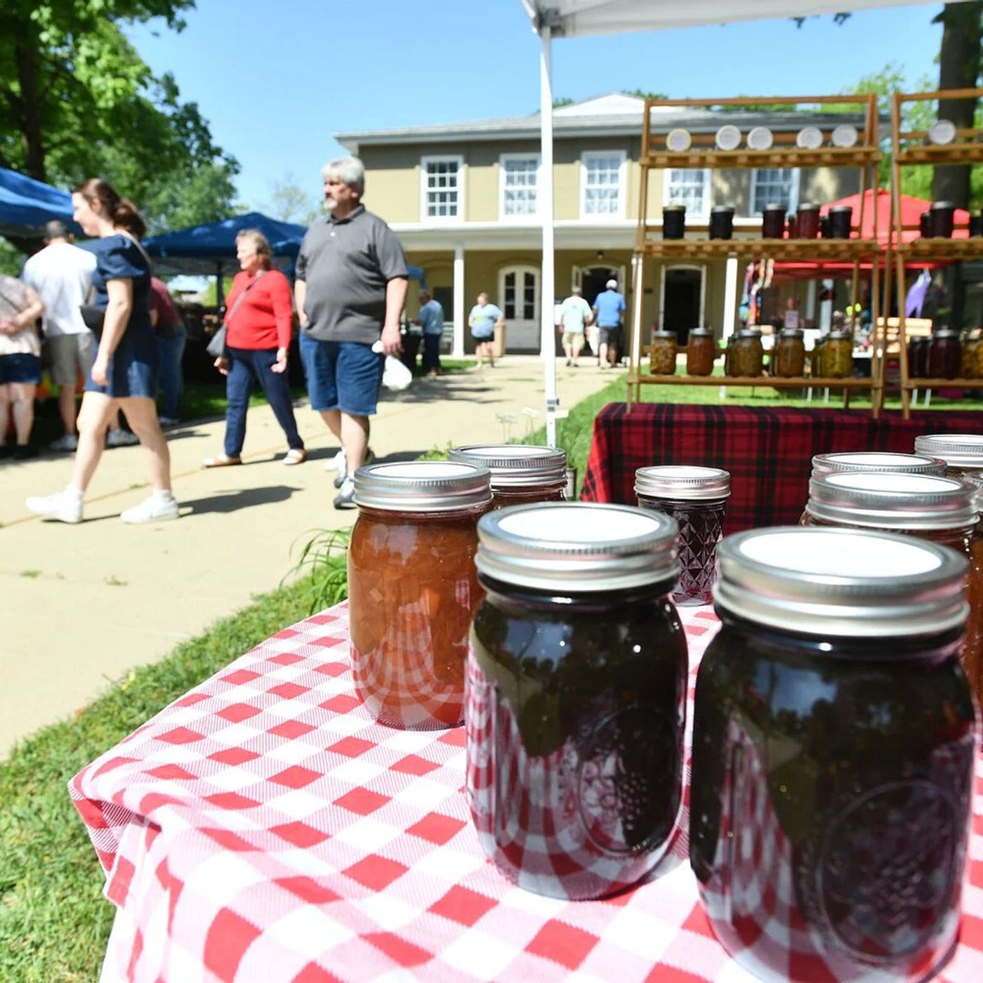 36th Annual Rhubarb Festival returns May 17 with food, vendors, live music episode artwork