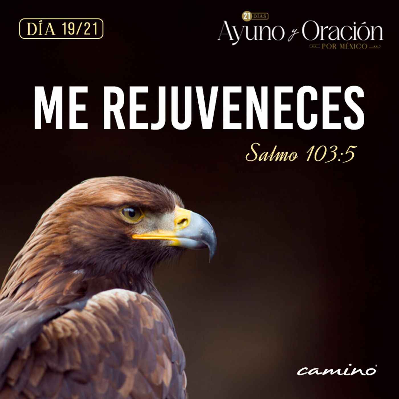 Oración 12 de septiembre (Me rejuveneces 19/21) episode artwork