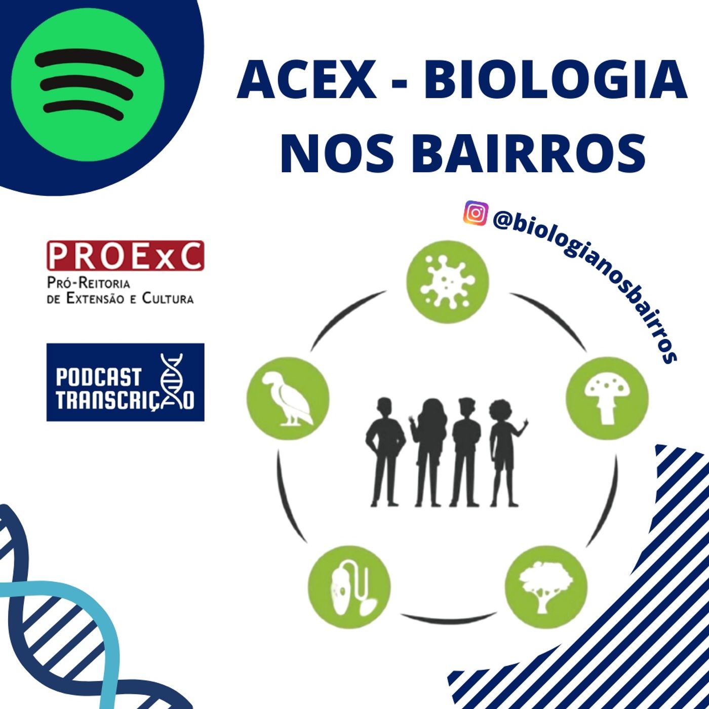 Podcast Transcrição
