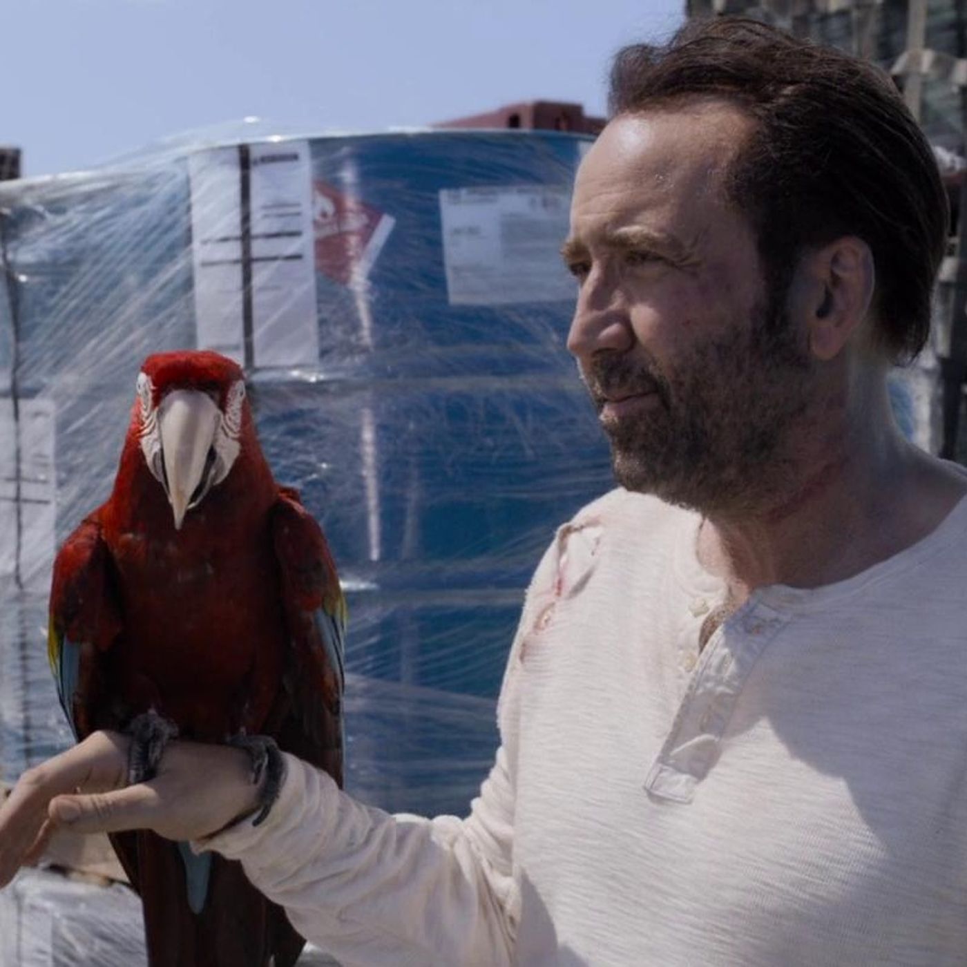 Primal: Part 2 Primal: Part 2