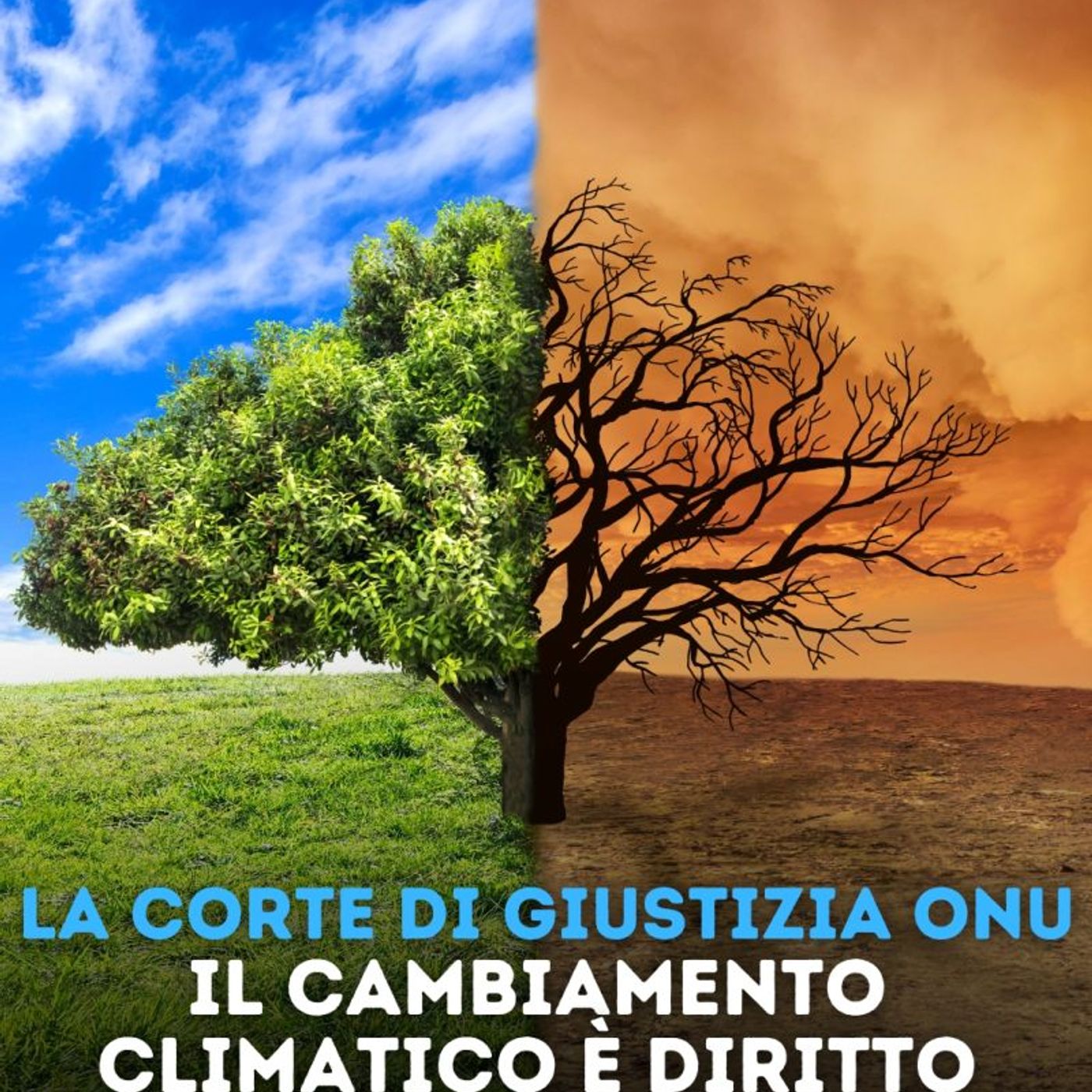 Diretta 287 Ris Onu Obbligo Giuridico Int. protez Sistema Climatico  8 Paesi Contrari.....