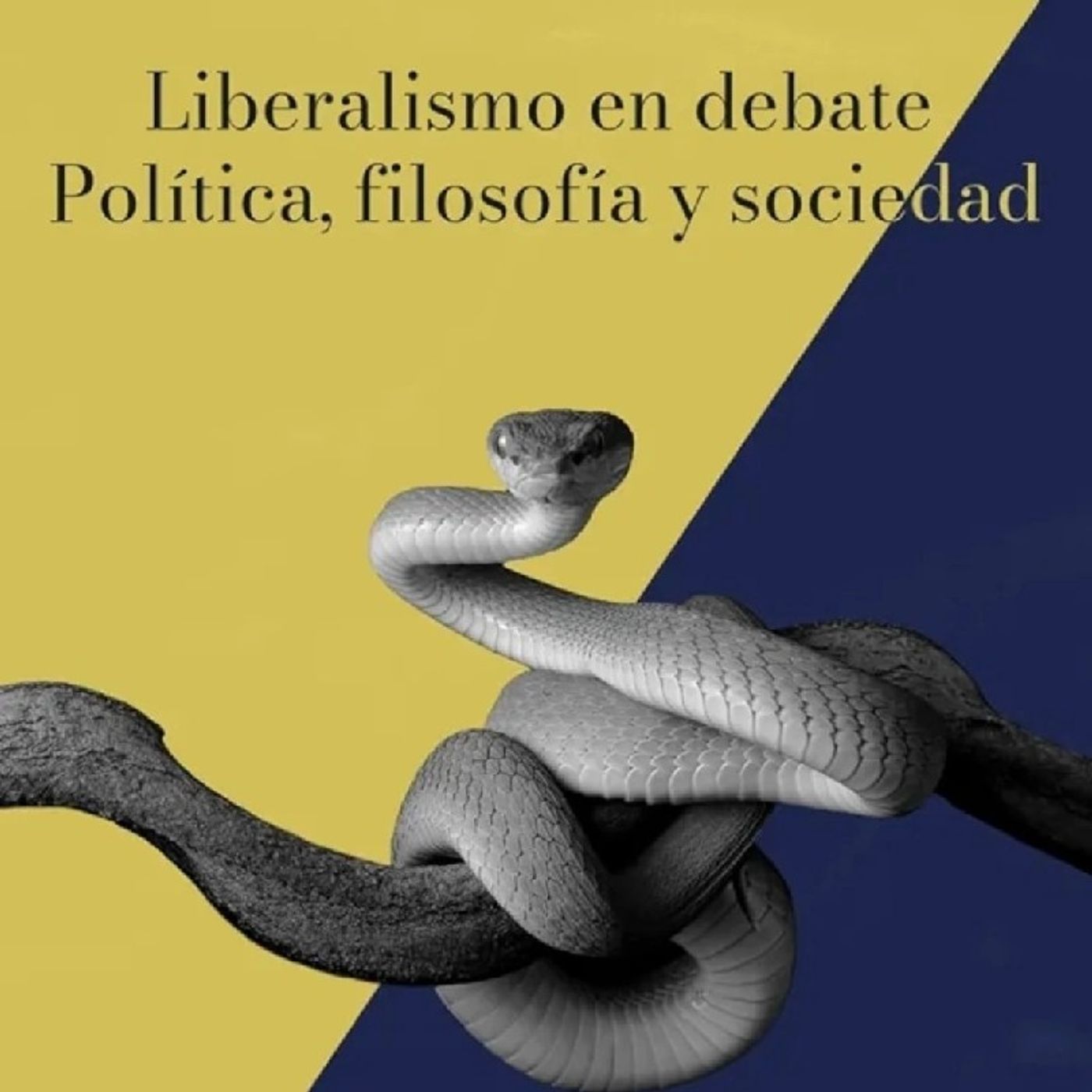 Liberalismo en Debate