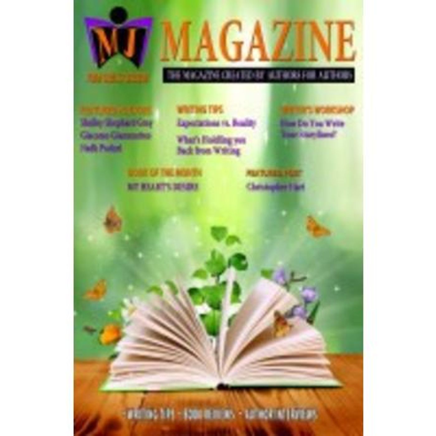 Writers Talk on Michigan Avenue Media