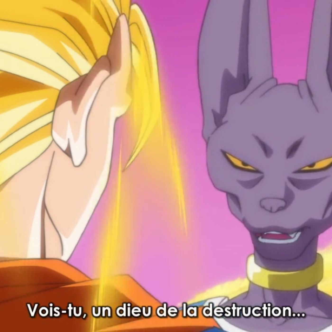 Cho Petant Black-Cherry Chou\'s show