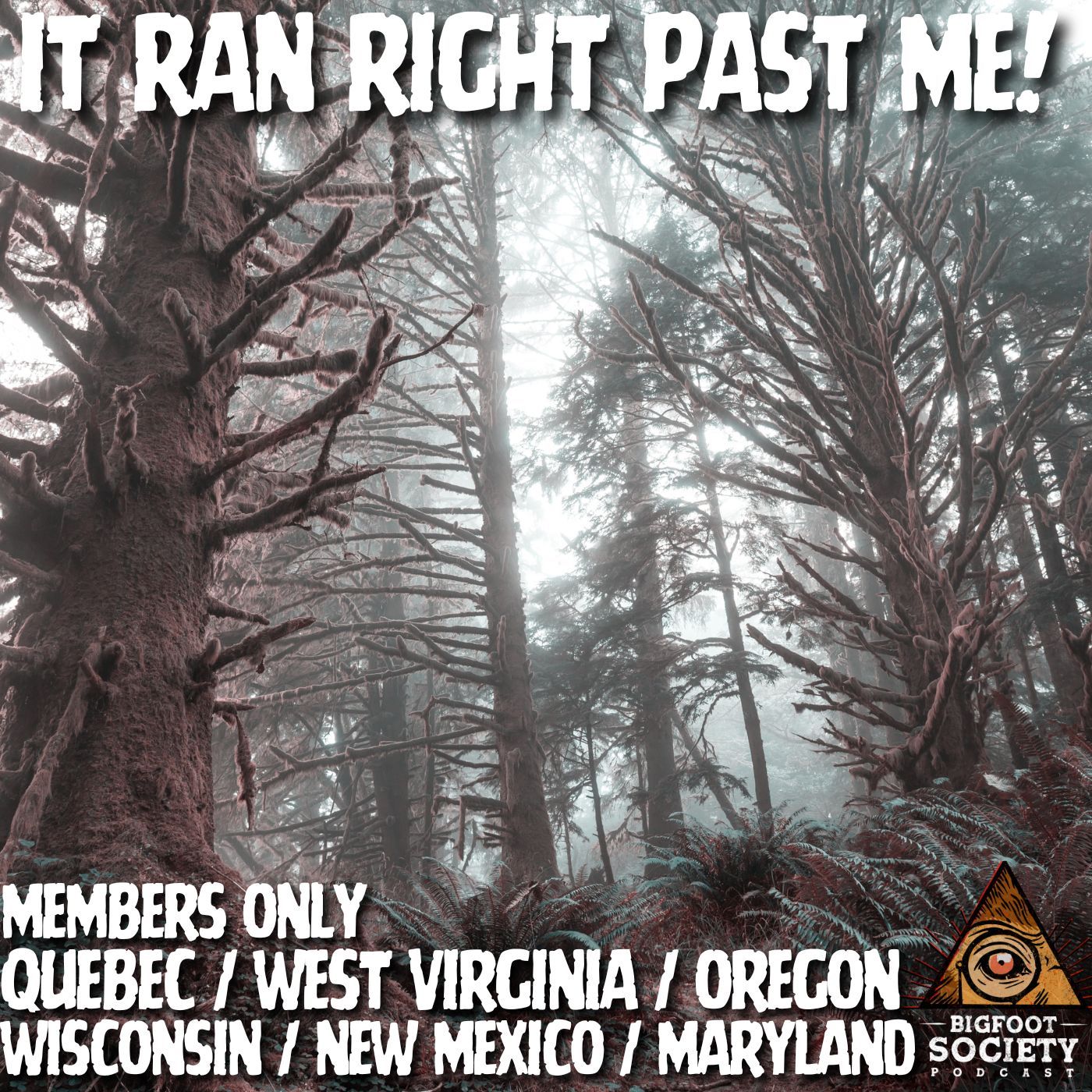 It was in BOTH of our heads! | Members Only Episode A21 PREVIEW