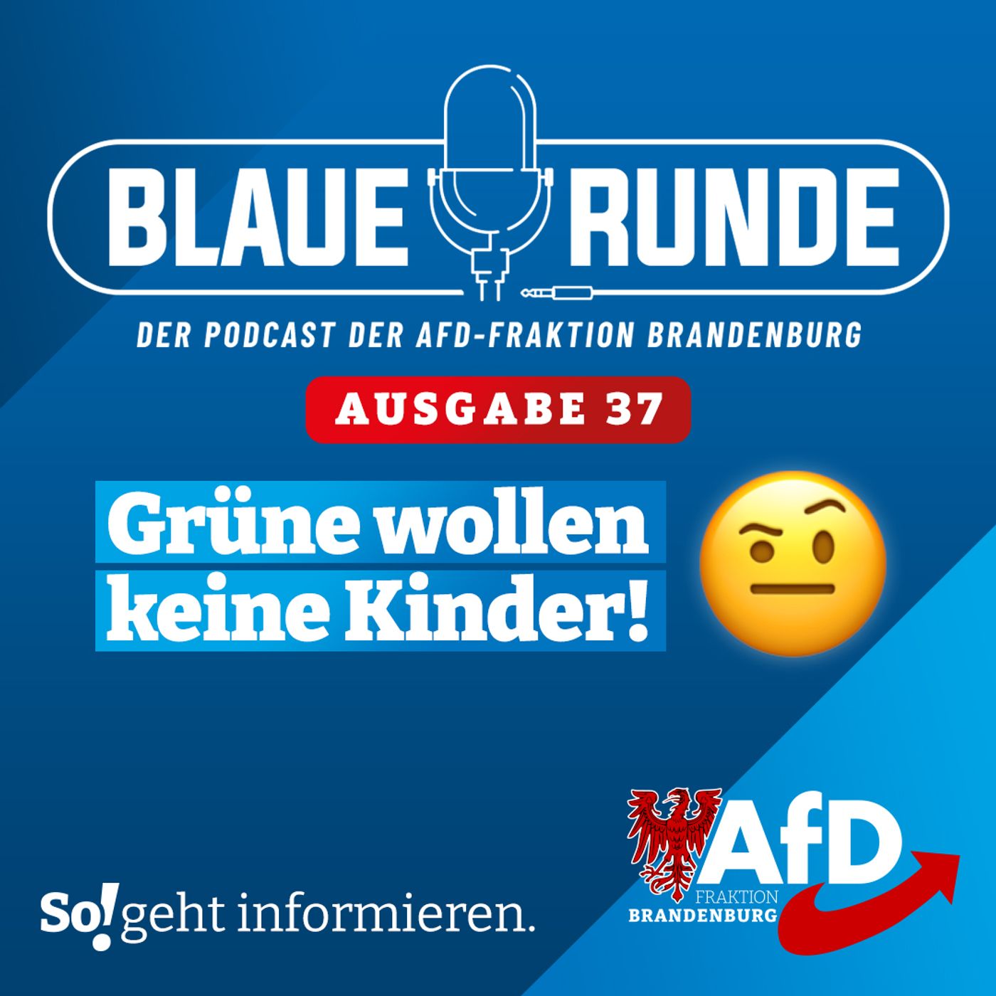 Die Blaue Runde - der Podcast der AfD-Fraktion Brandenburg