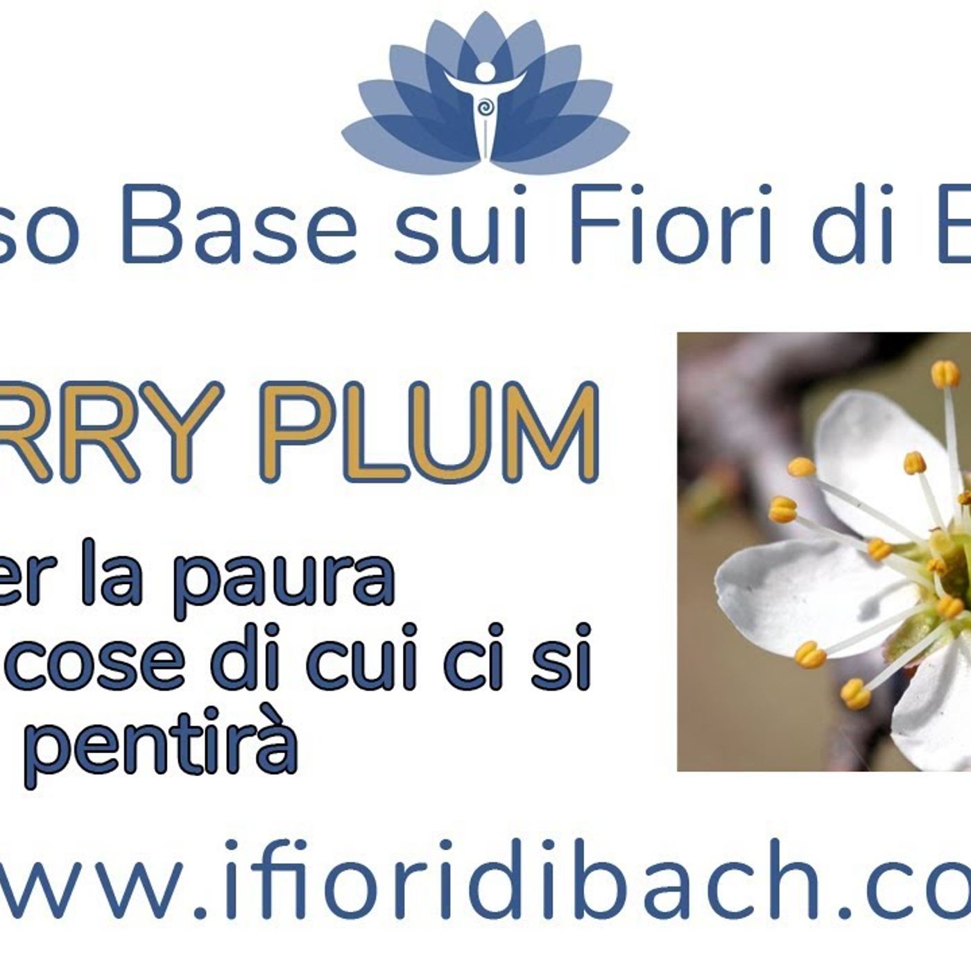 Fiori di Bach in pillole