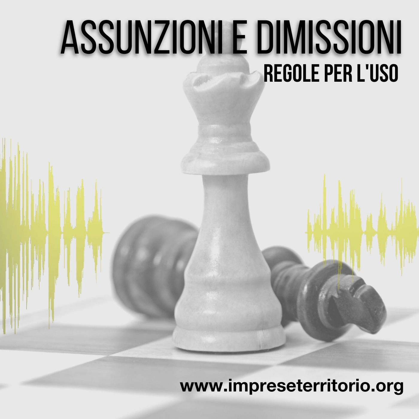 Assunzioni e dimissioni: le regole per gestire il cambiamento in azienda episode artwork