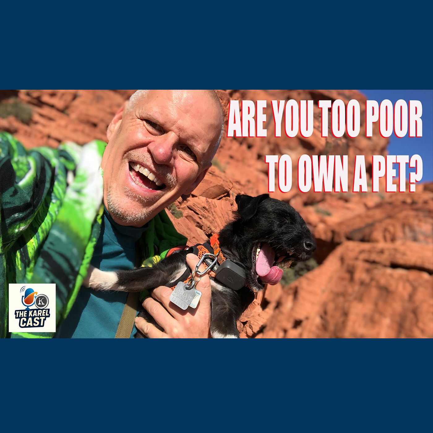Is Pet Ownership Just for the Rich?