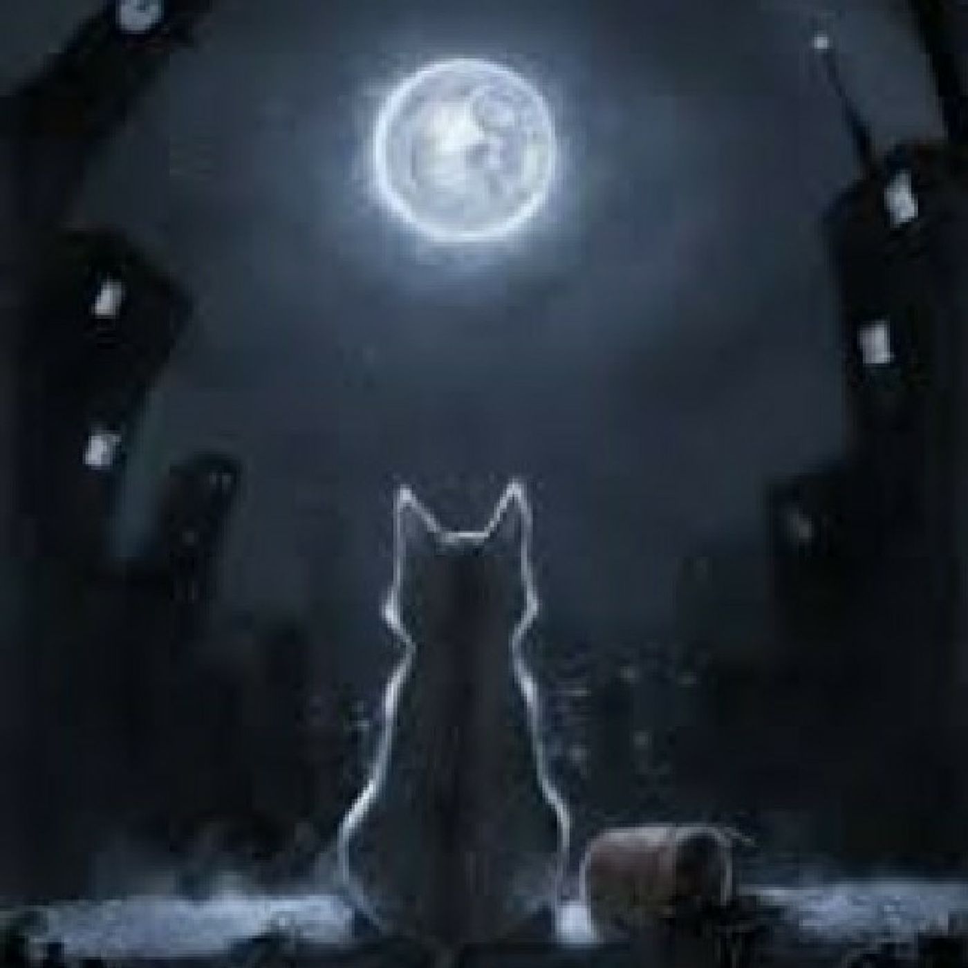 dezzie The Wonderful cover art