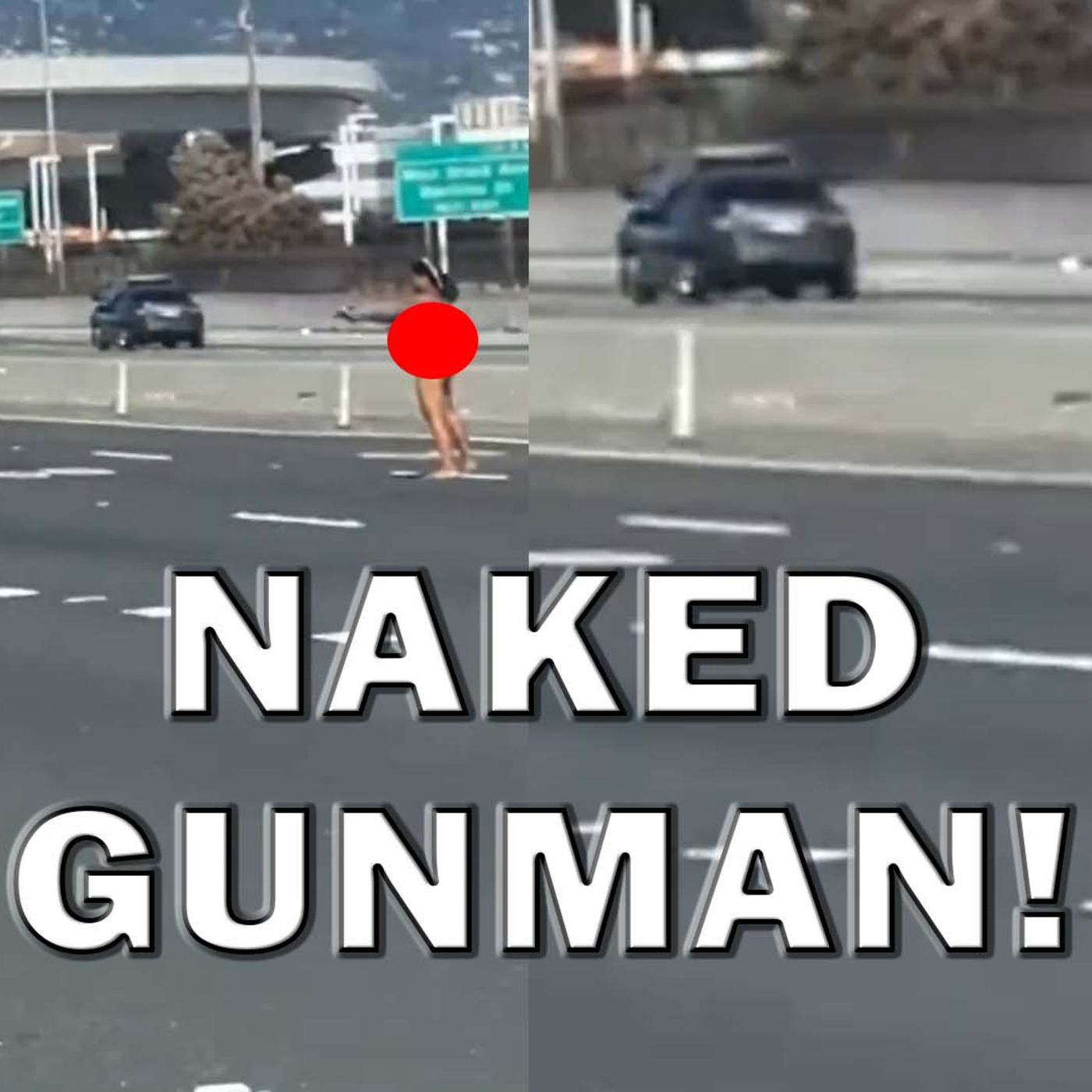 Naked Woman On Highway Starts Shooting At Drivers On Video! LEO Round Table S08E133 episode artwork