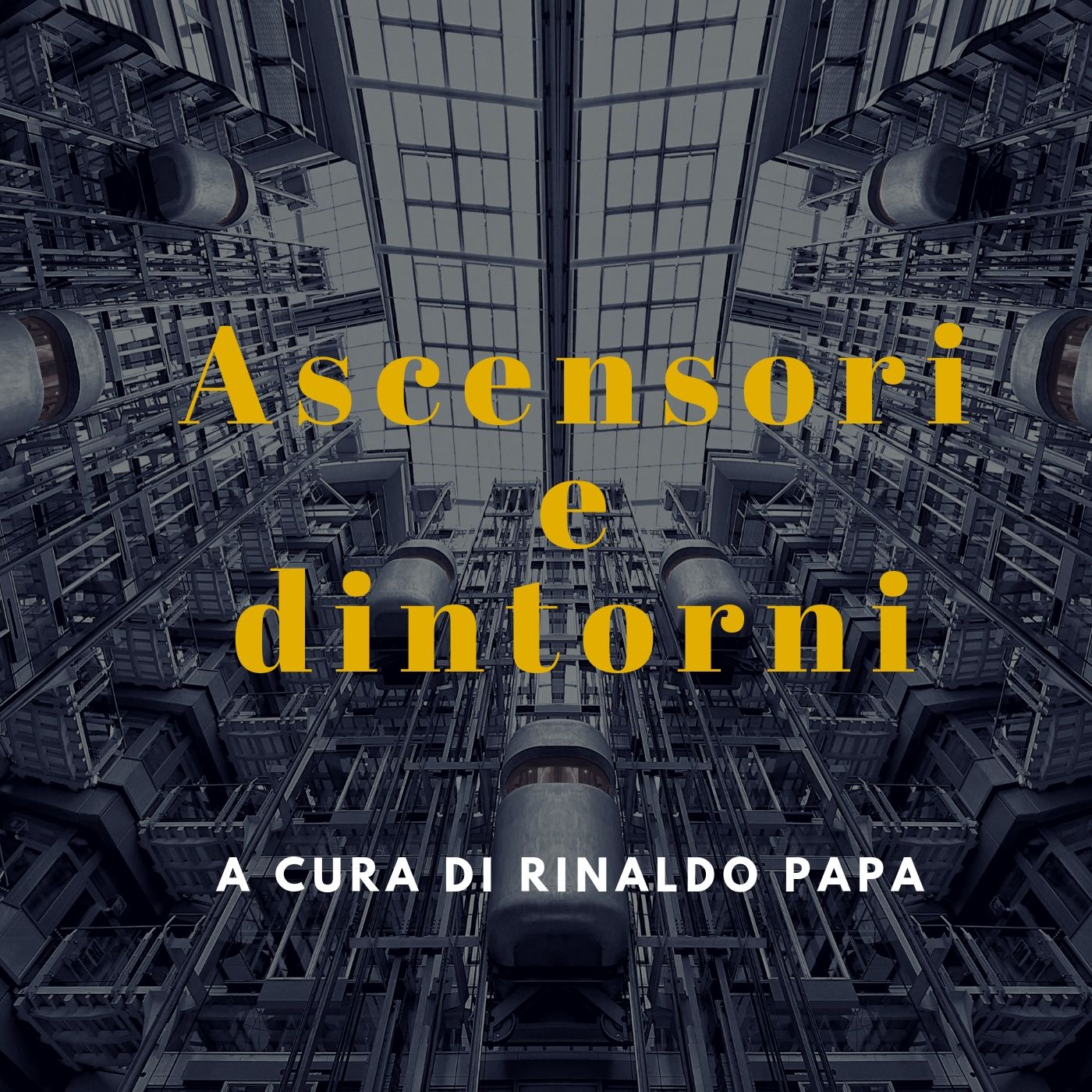 Ascensori e dintorni