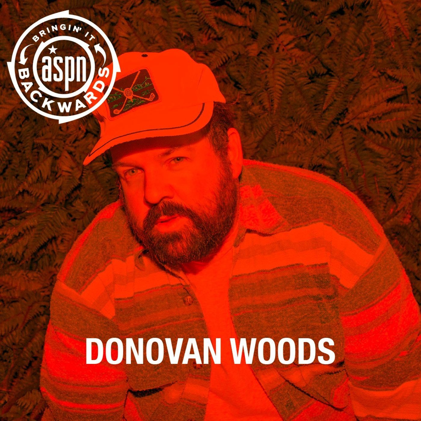 Interview with Donovan Woods