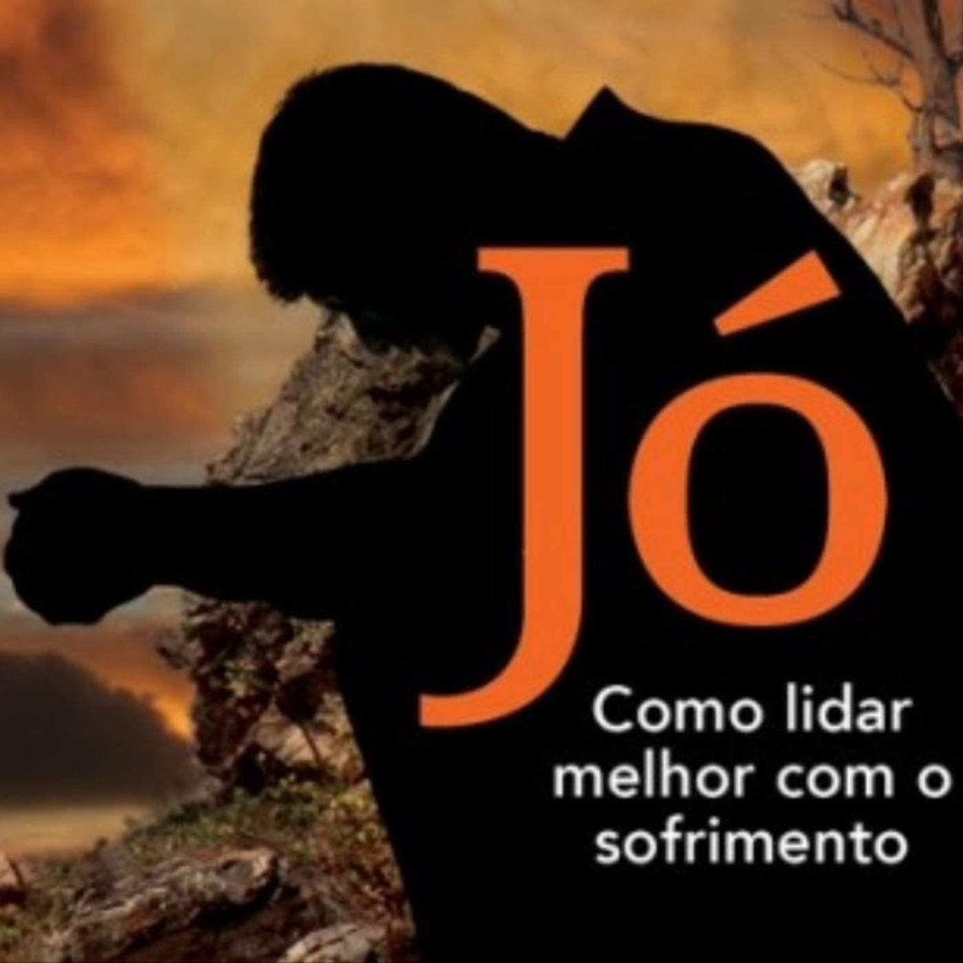 Mensagem 239 | Sofrimento e solidariedade episode artwork