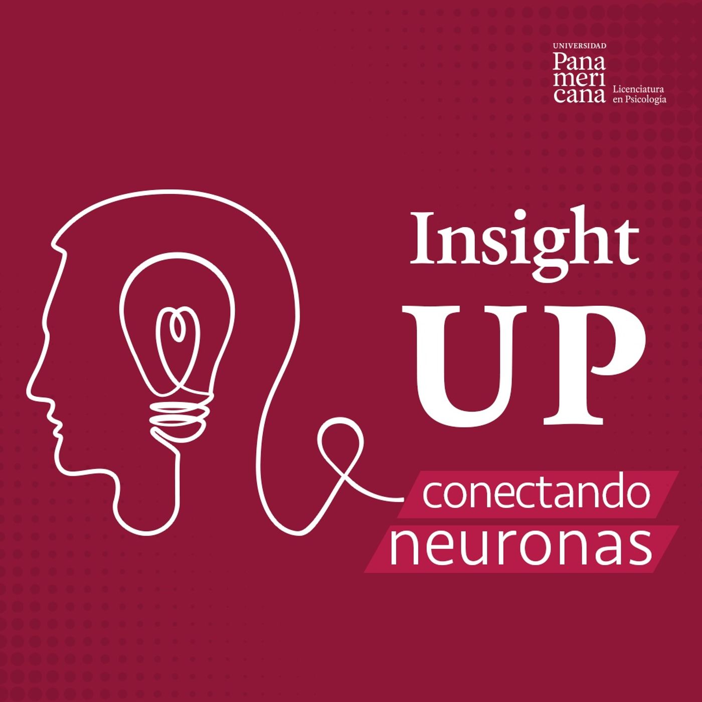 Insight-UP: conectando neuronas