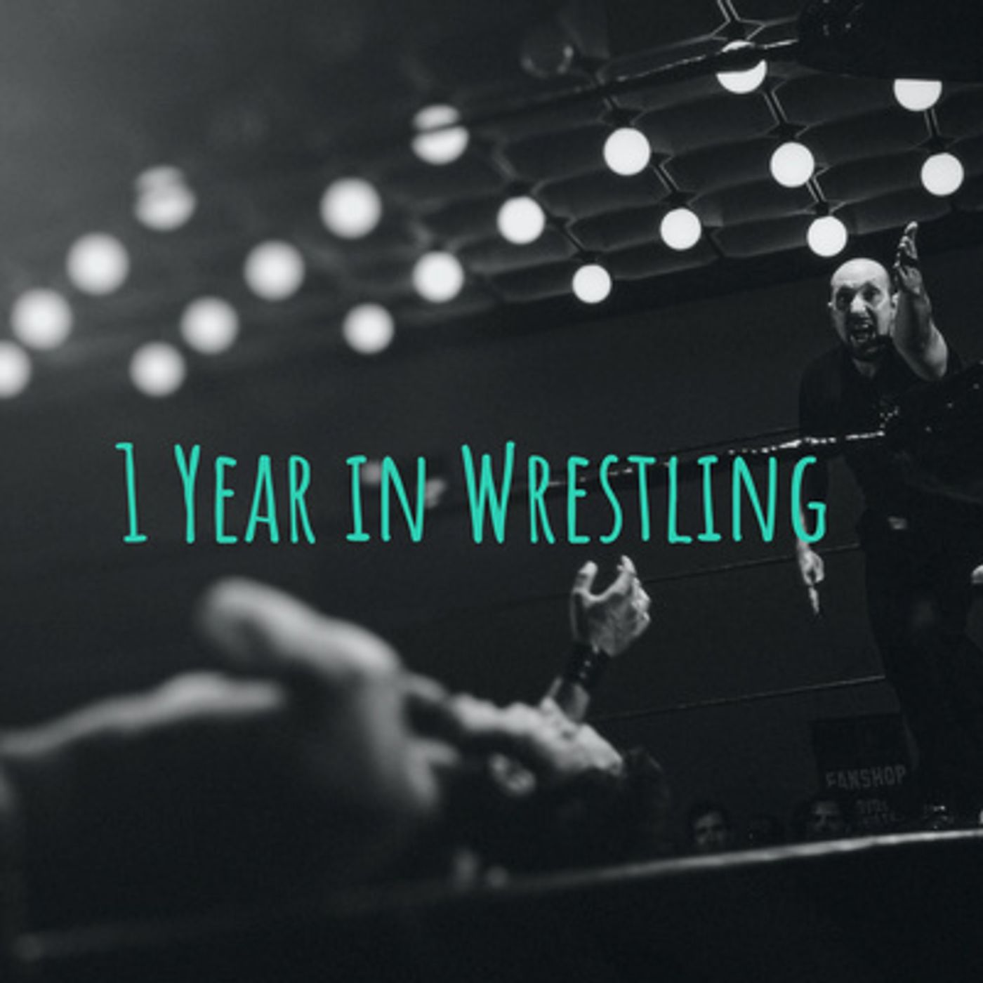 1 Year in Wrestling