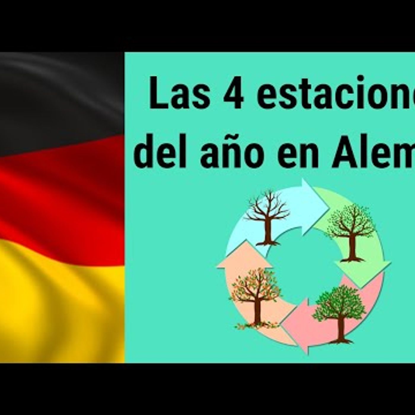 Las Estaciones del año en Alemán  Alemán Básico