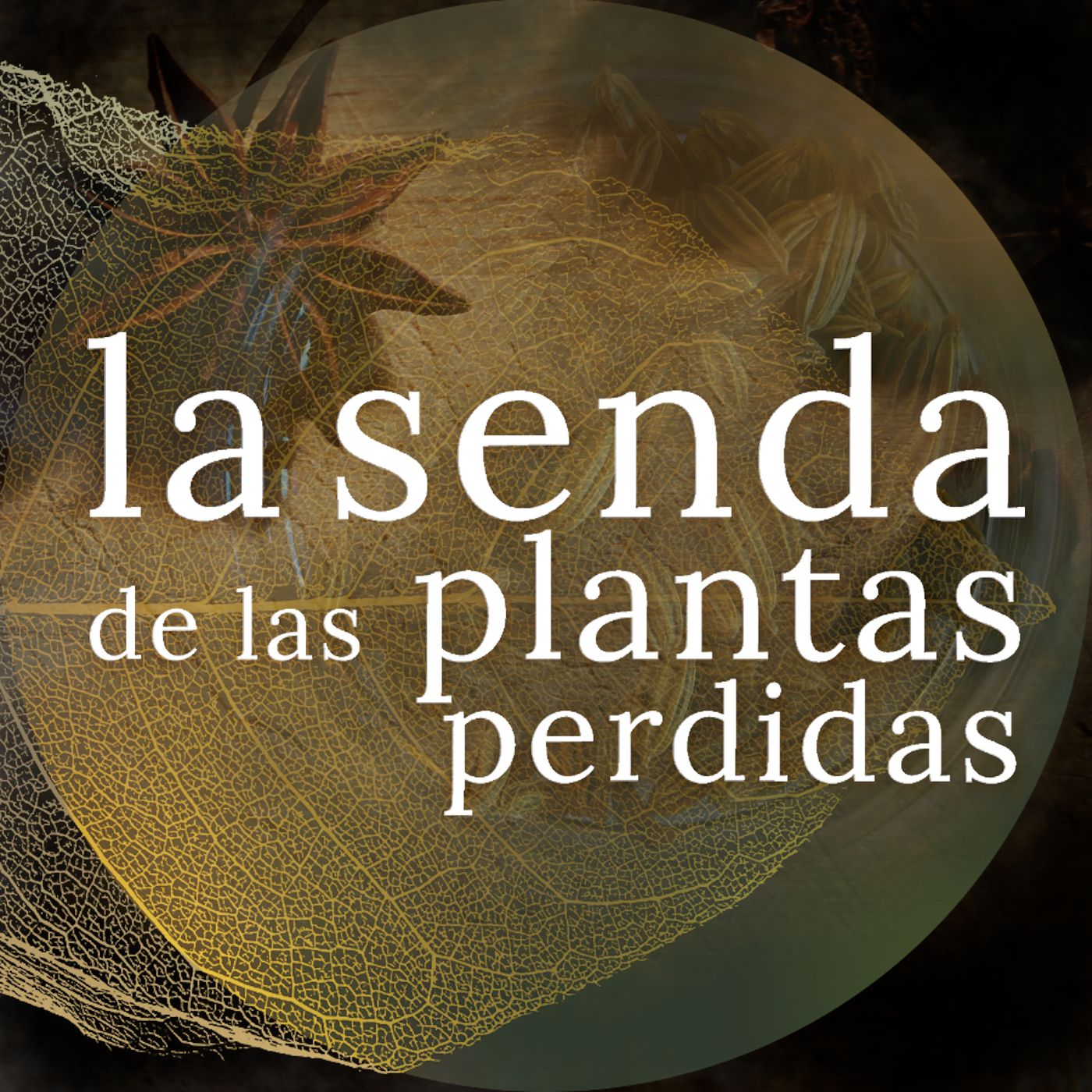 La Senda de las Plantas Perdidas