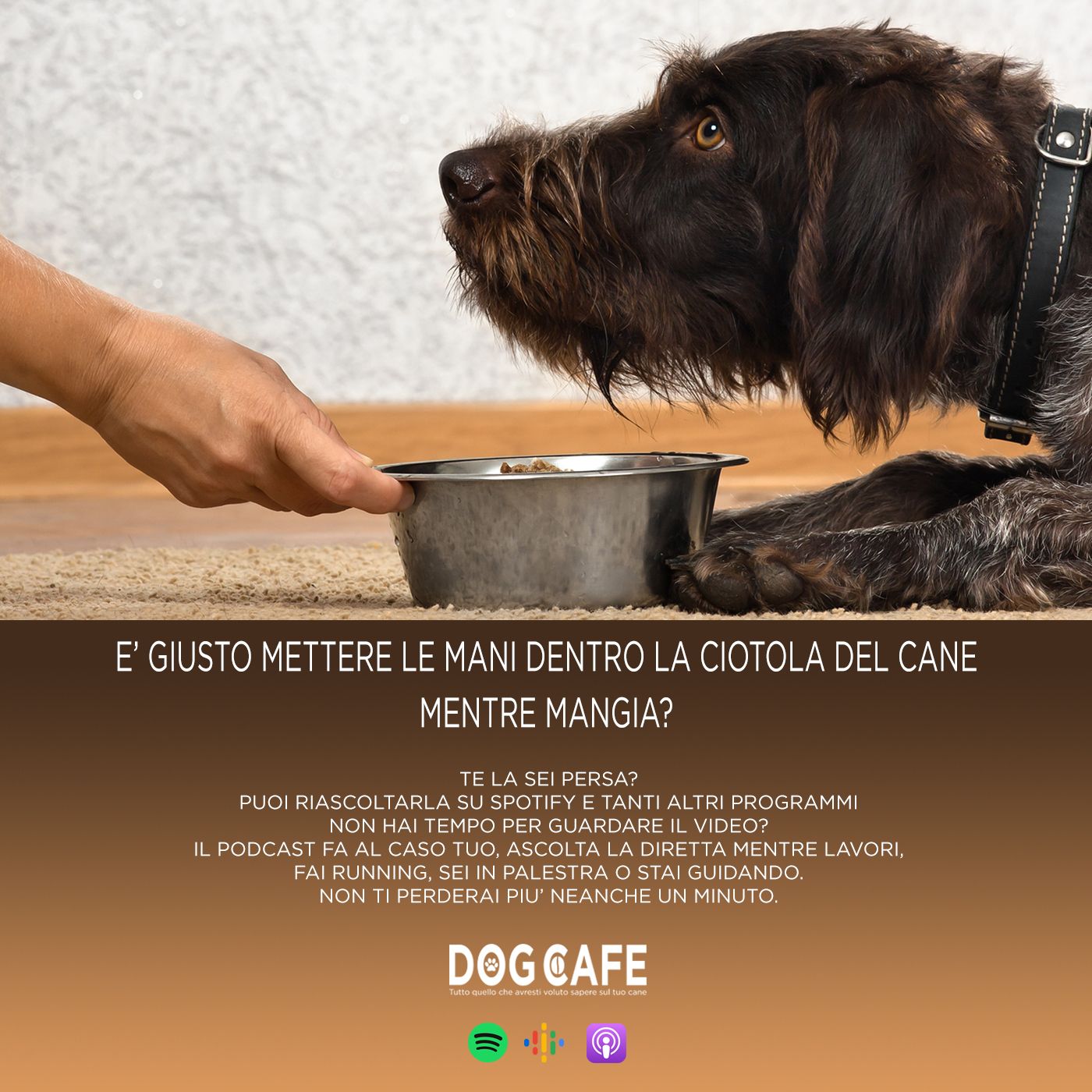 Dog Cafe Podcast