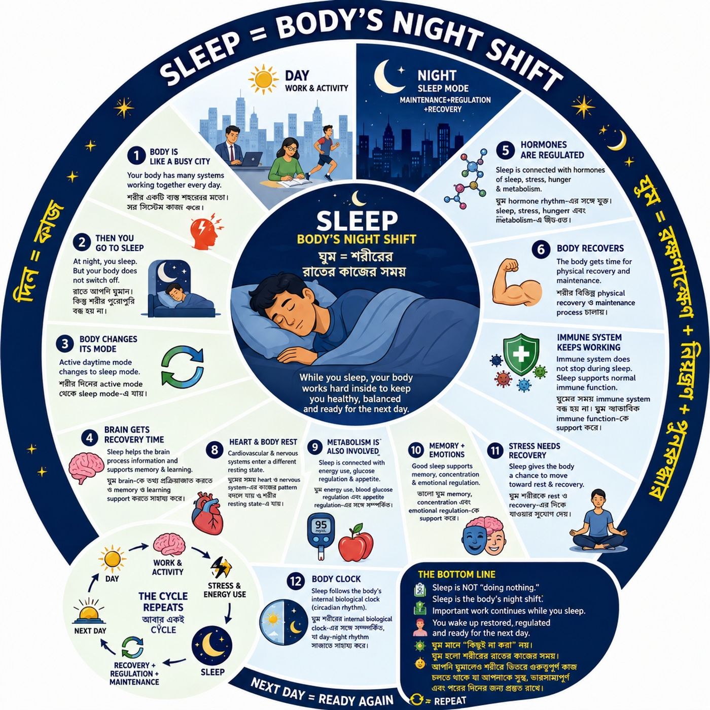 EP-308| What Does Your Body Do While You 🔄🔄Sleep? 🔄🌙 | আপনি ঘুমালে শরীর কী করে?| wellness podcast episode artwork