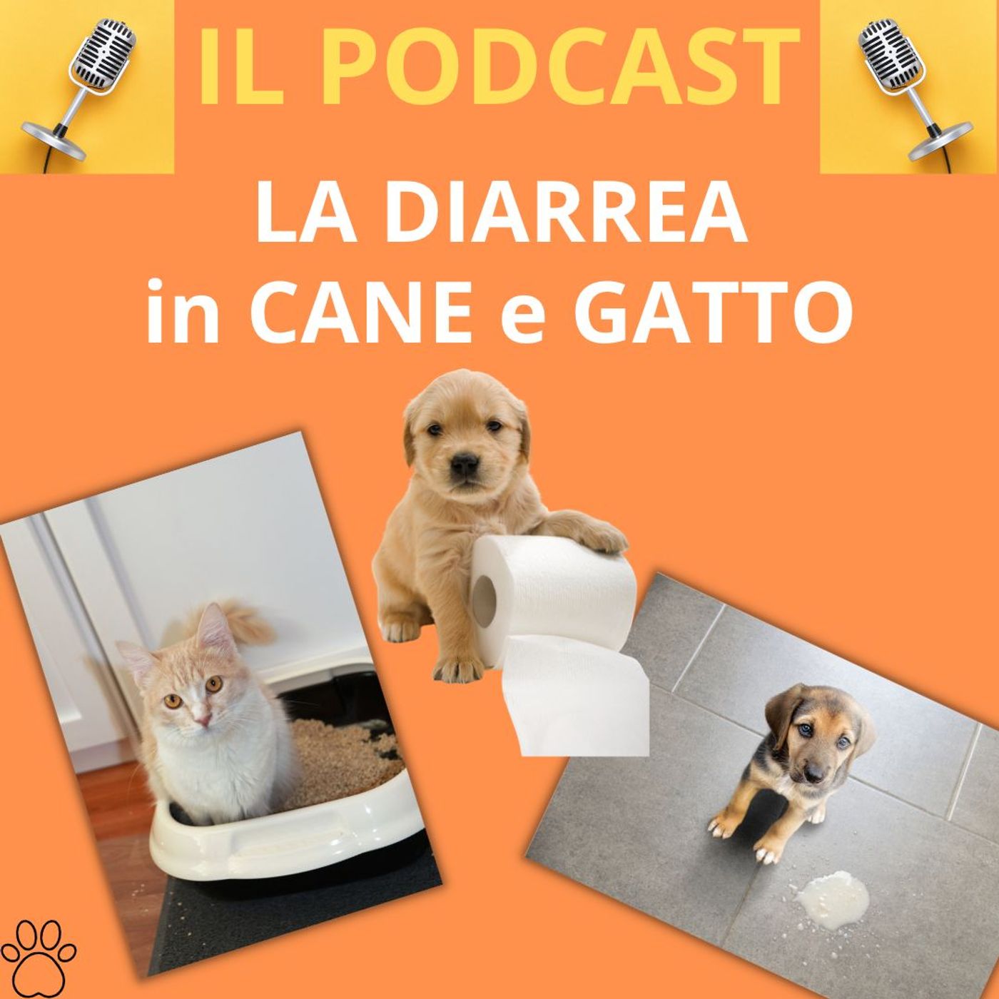 Cane&gatto: le domande più frequenti