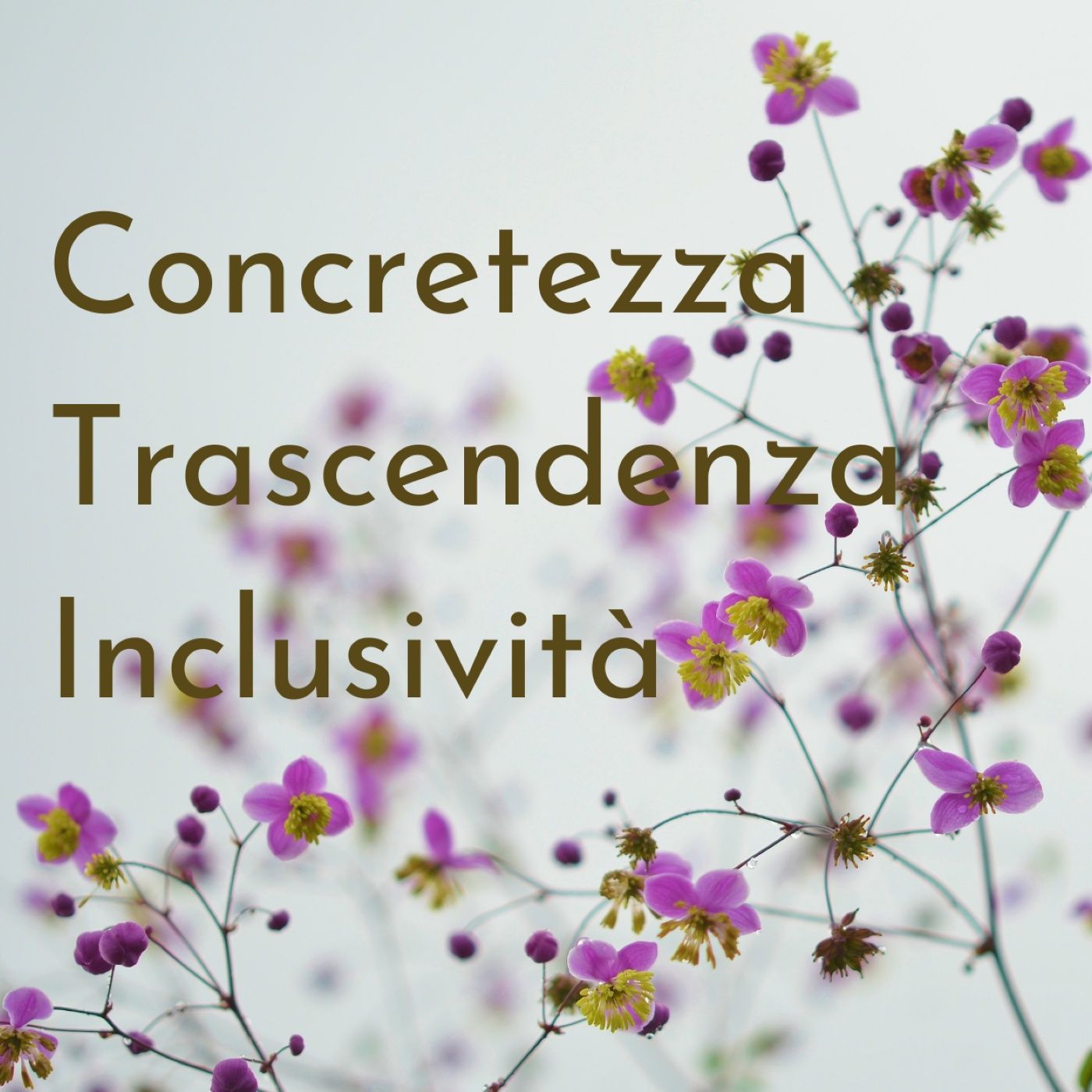 Commenti al Vangelo