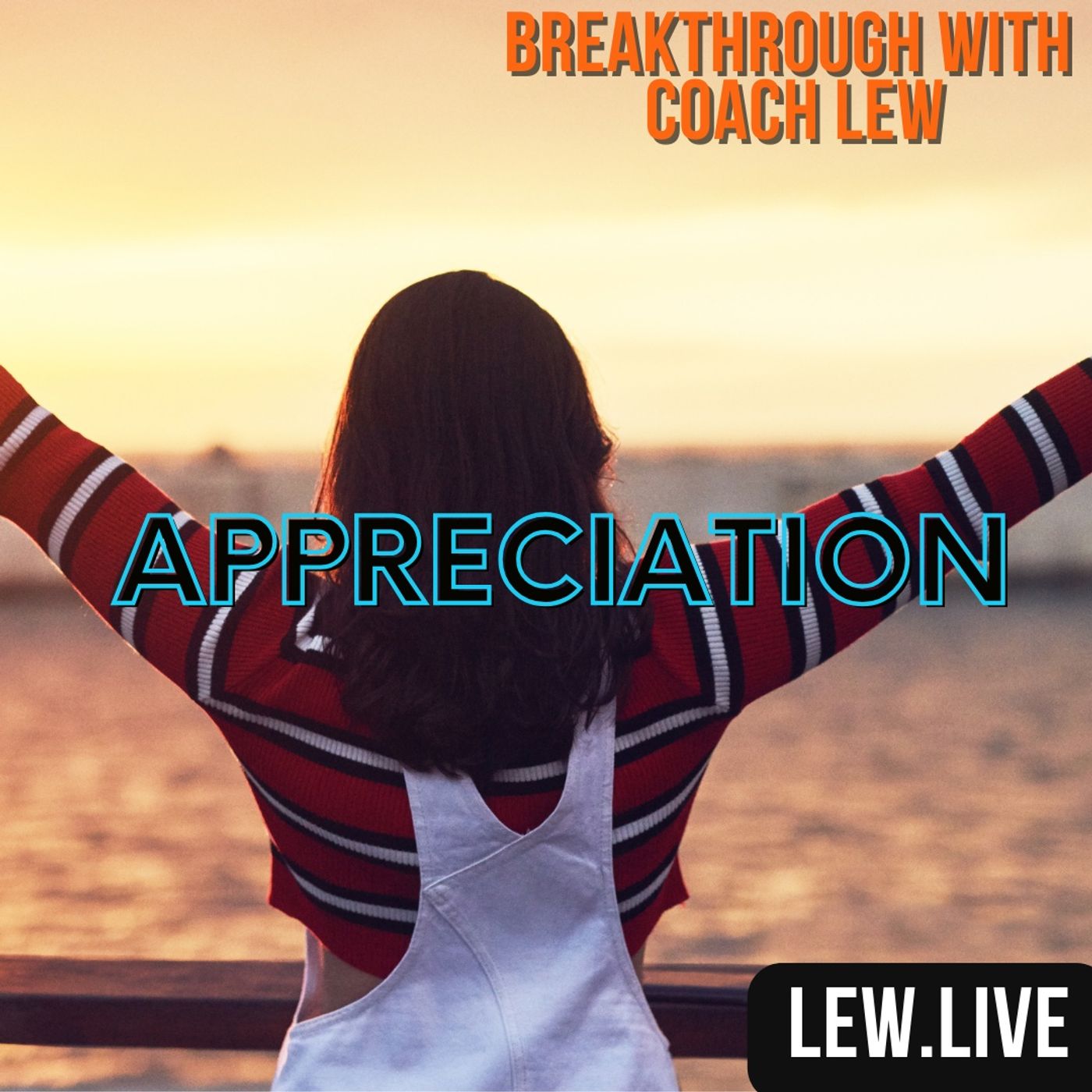 Appreciation episode artwork