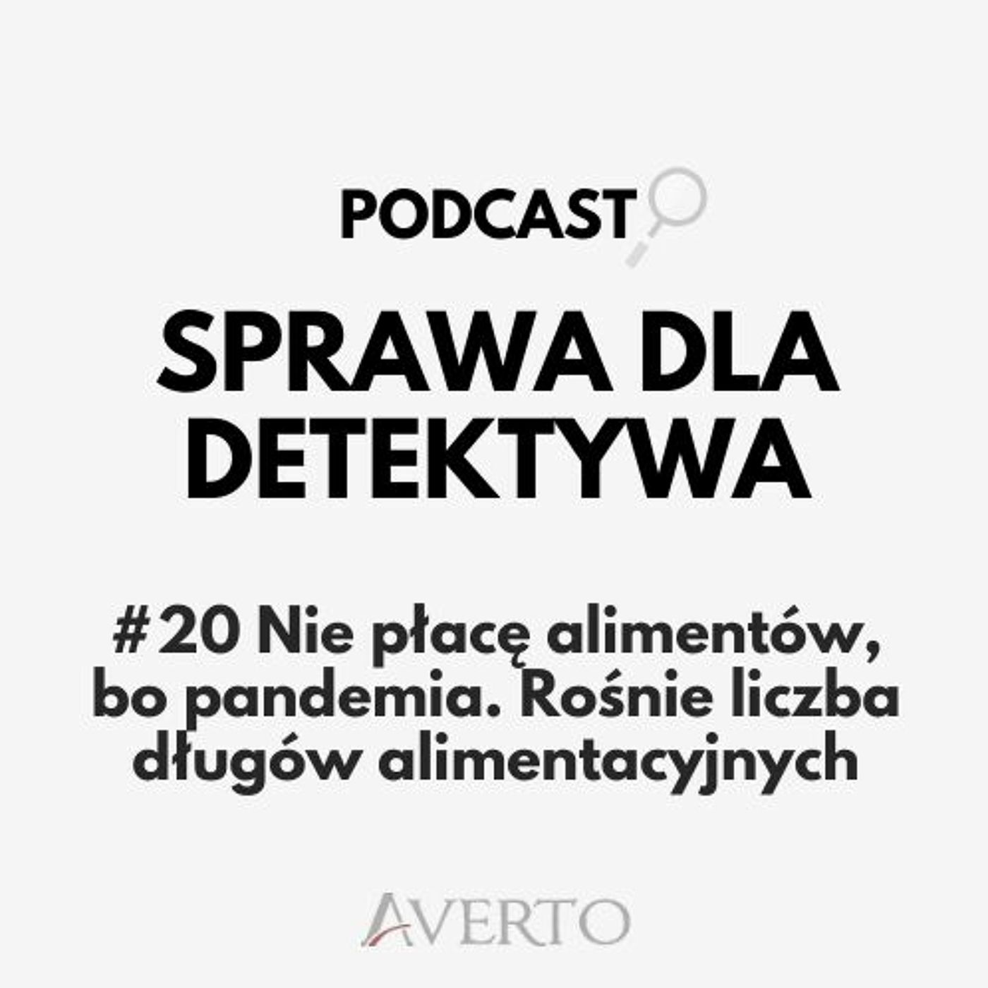 Sprawa dla detektywa